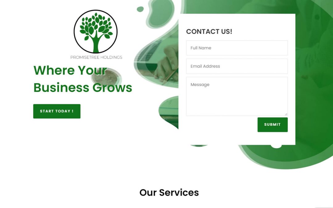 Landing Page: Promise Tree Holdings